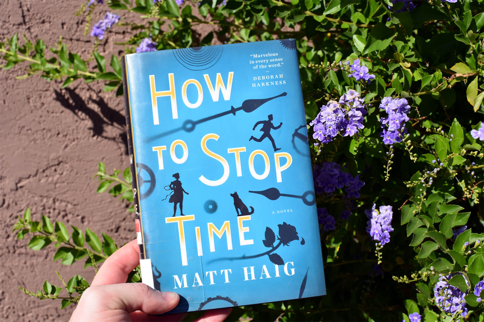 Book Club Questions for How to Stop Time by Matt Haig