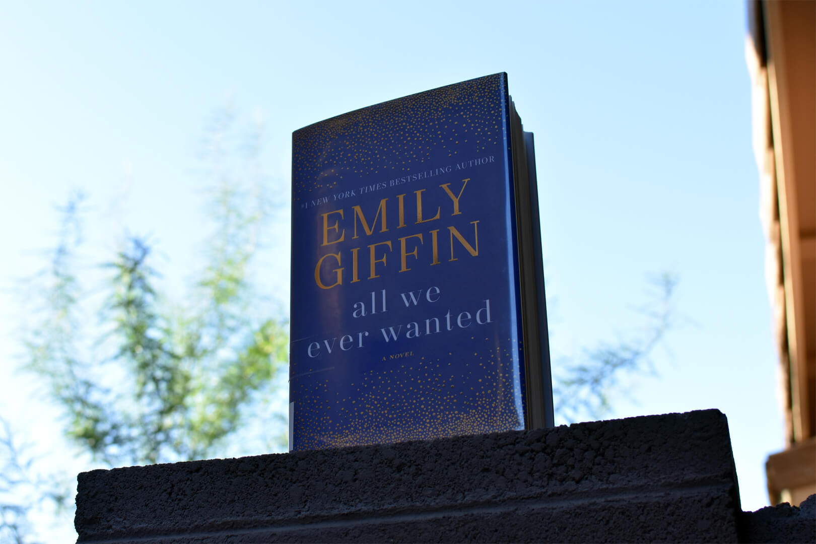 Book Club Questions for All We Ever Wanted by Emily Giffin