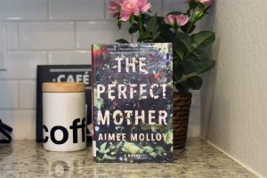 The Perfect Mother Book Club Questions - Book Club Chat
