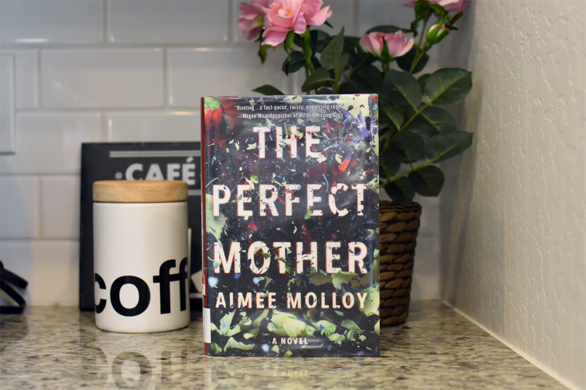 Book Club Questions for The Perfect Mother by Aimee Molloy