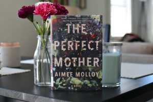The Perfect Mother Preview - Book Club Chat