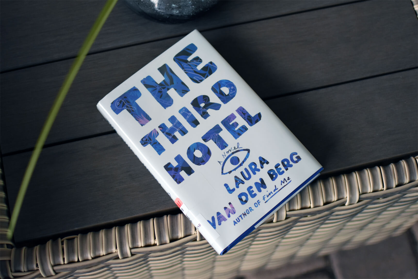 Preview: The Third Hotel by Laura van den Berg