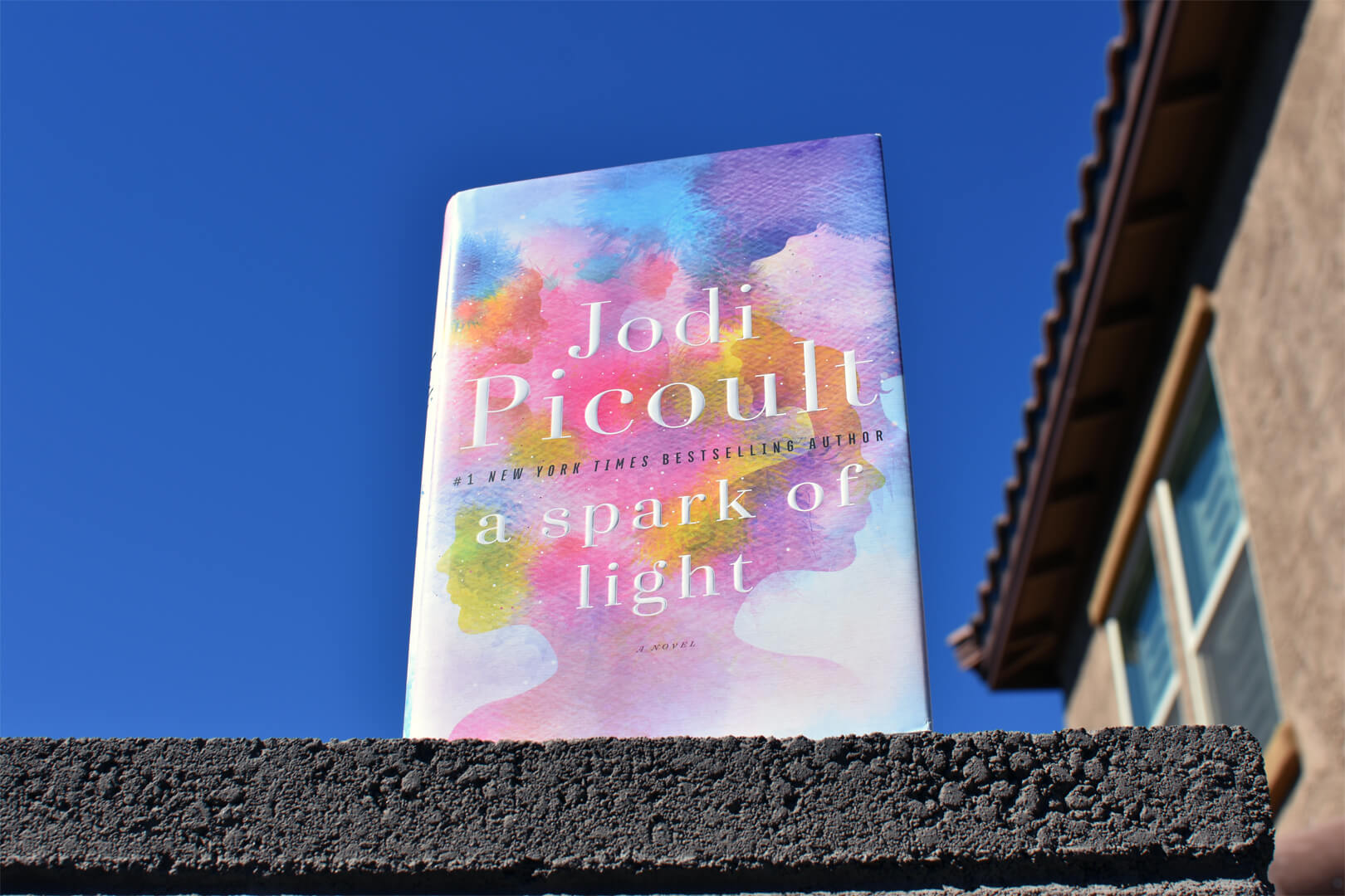 Book Club Questions for A Spark Of Light by Jodi Picoult