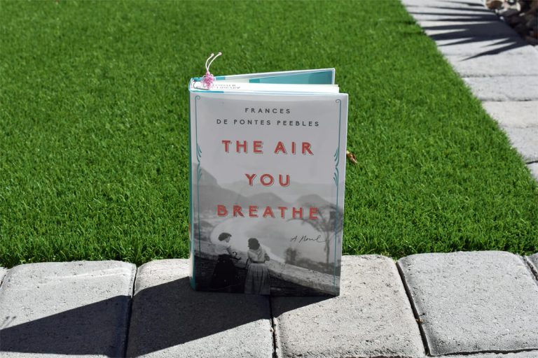 The Air You Breathe Book Club Questions-Book Club Chat