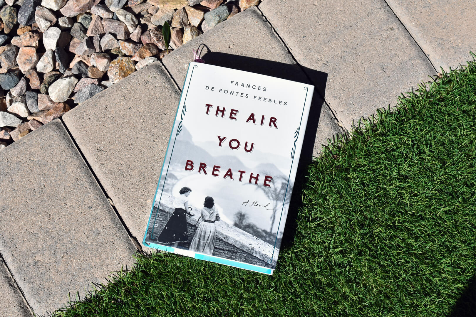 Preview The Air You Breathe By Frances De Pontes Peebles Book Club Chat