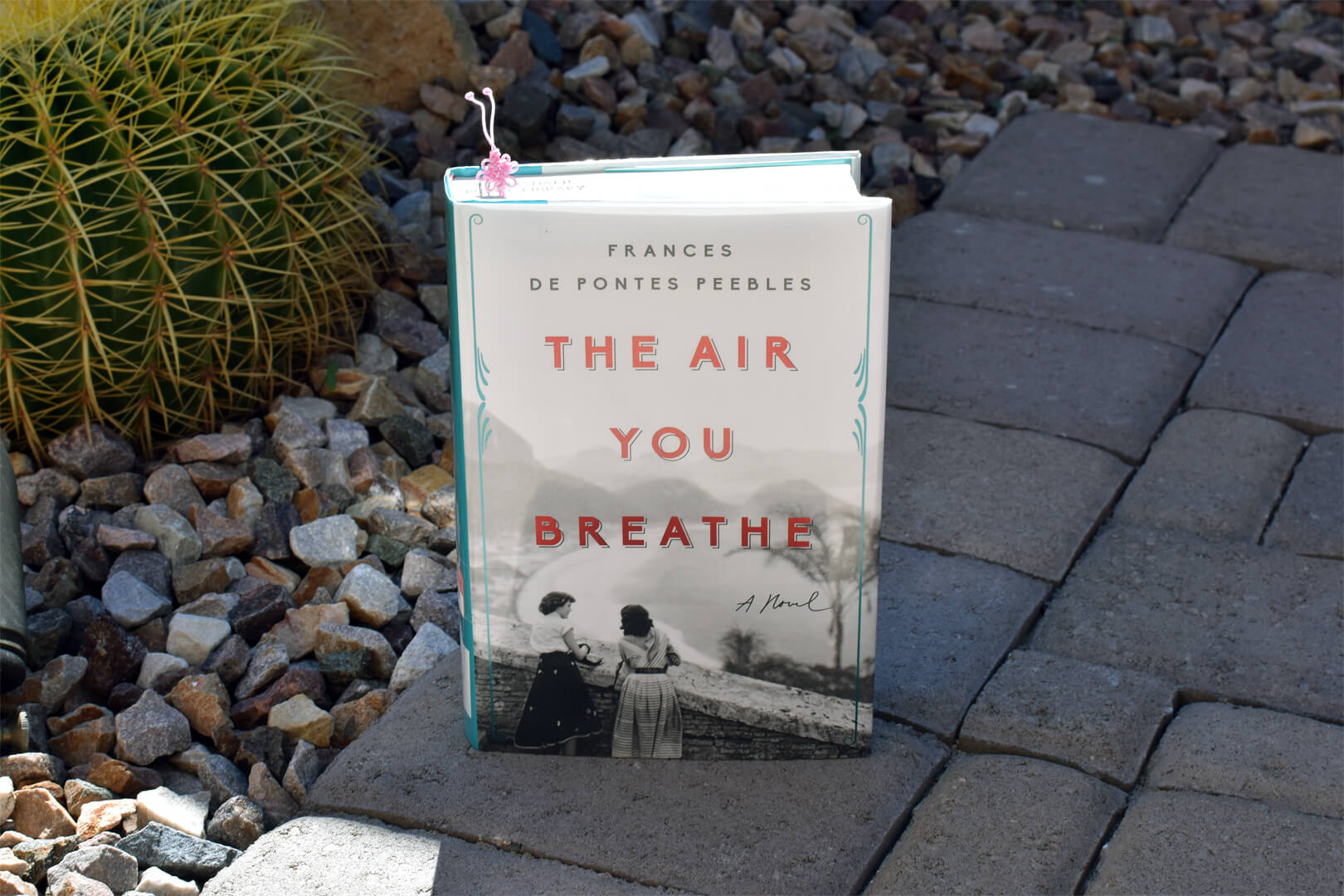 Review: The Air You Breathe by Frances de Pontes Peebles