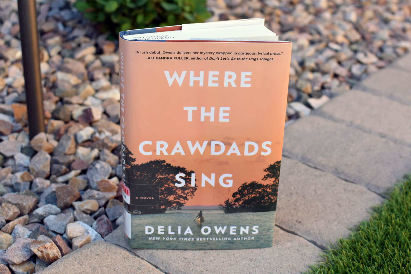 Review: Where the Crawdads Sing by Delia Owens