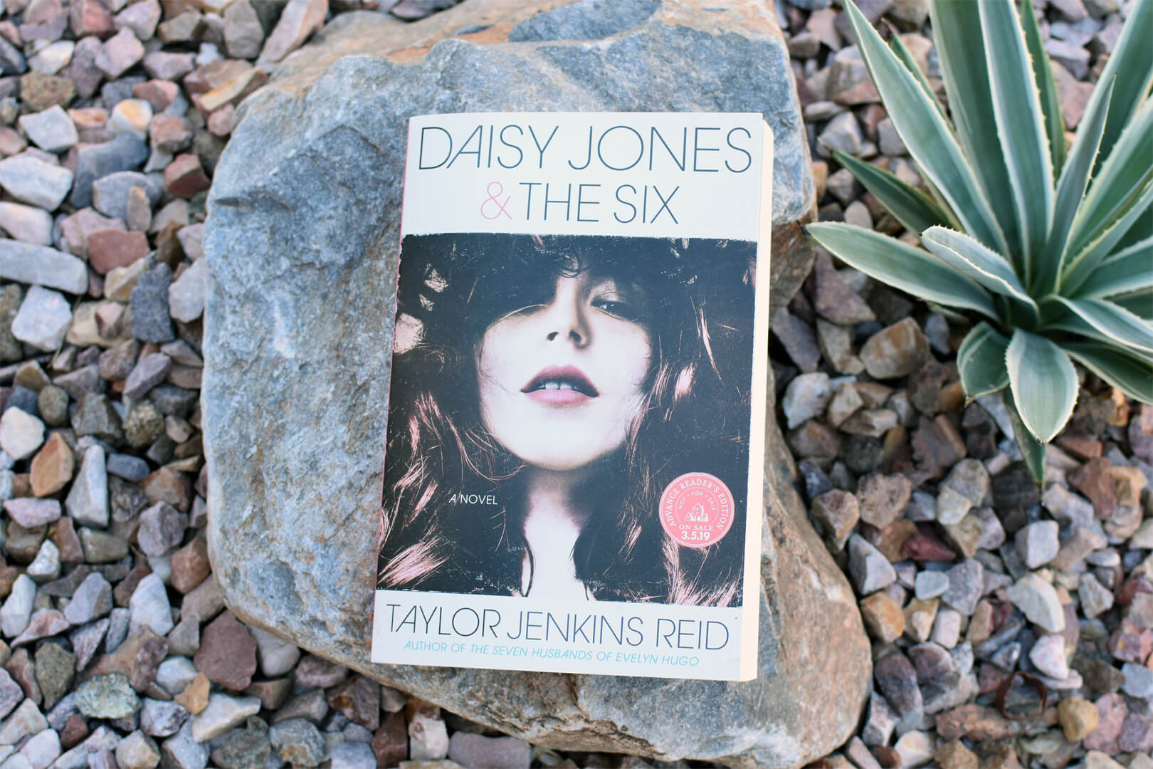 Book Club Questions for Daisy Jones & The Six by Taylor Jenkins Reid