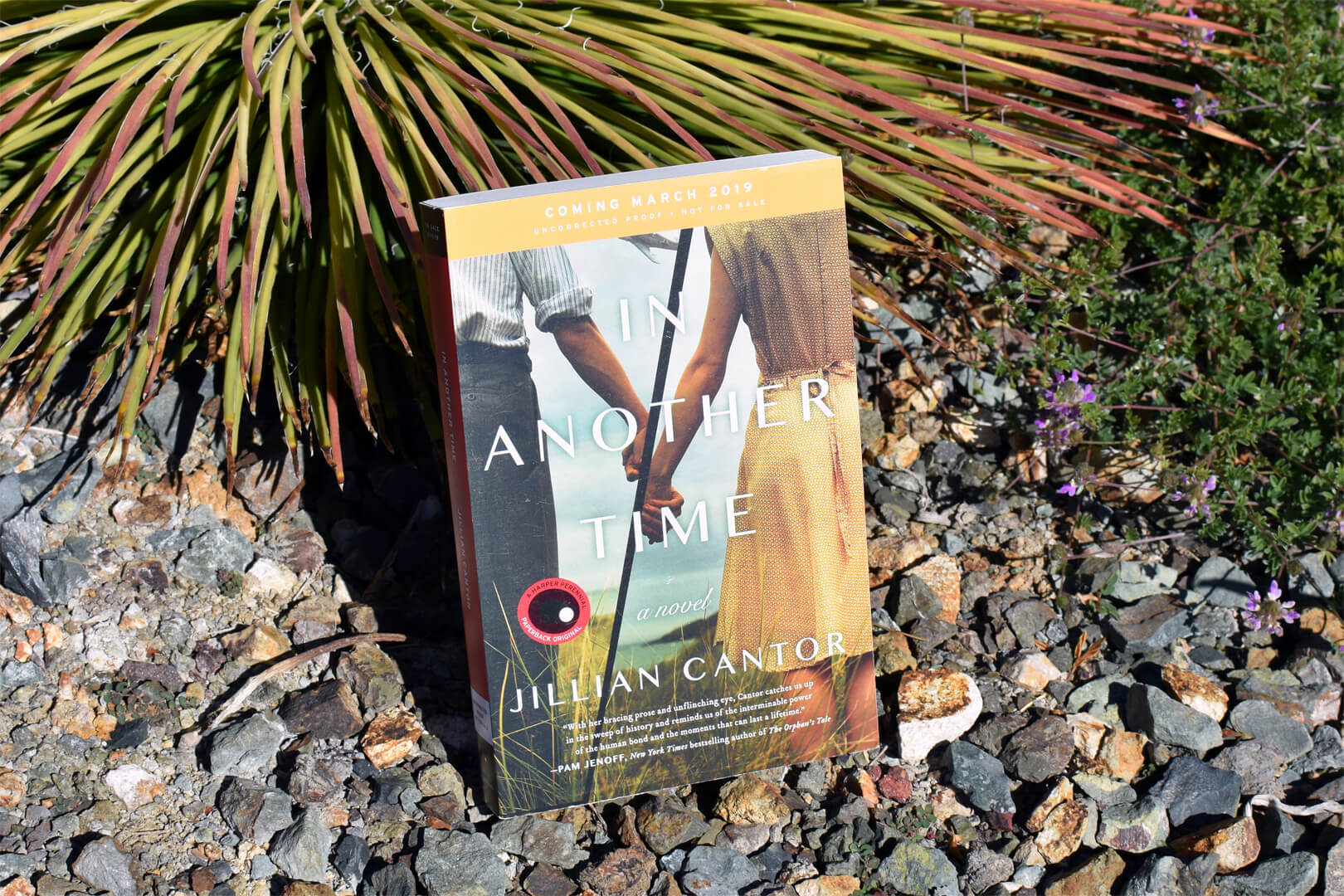 Review: In Another Time by Jillian Cantor