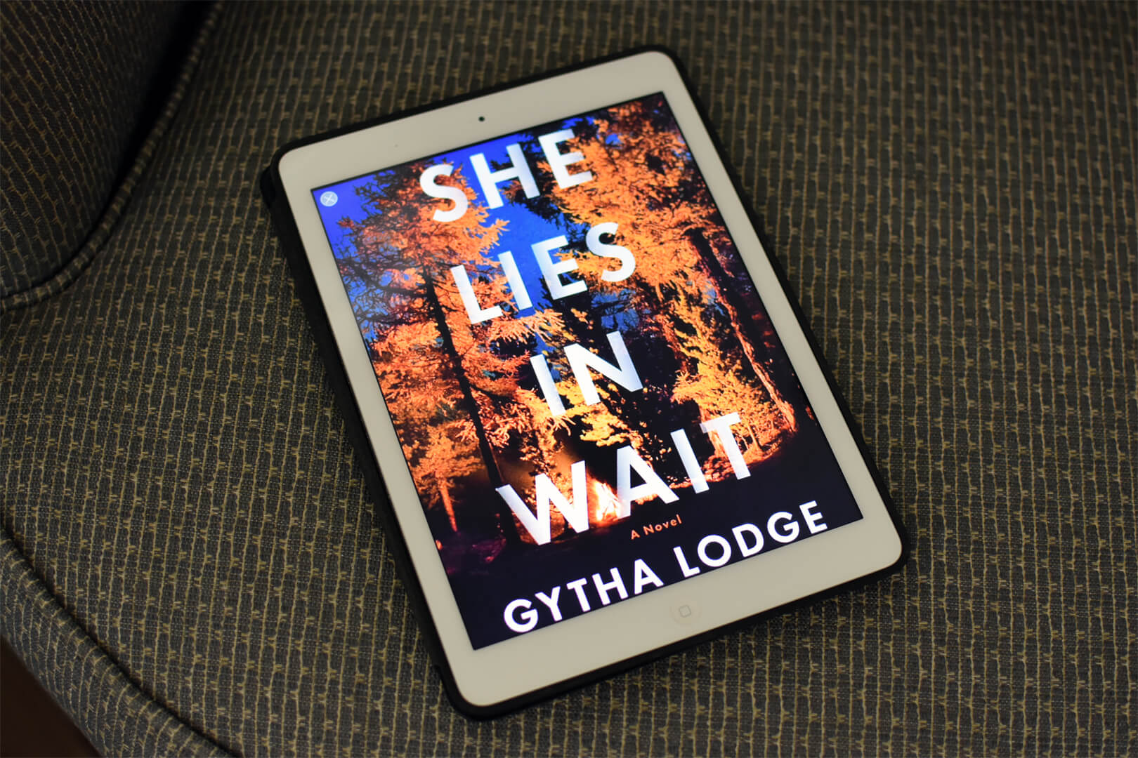 Review: She Lies in Wait by Gytha Lodge