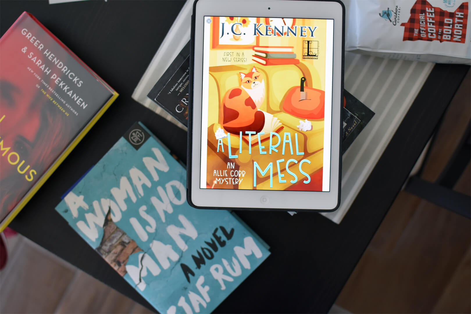 Flash Review: A Literal Mess by J.C. Kenney