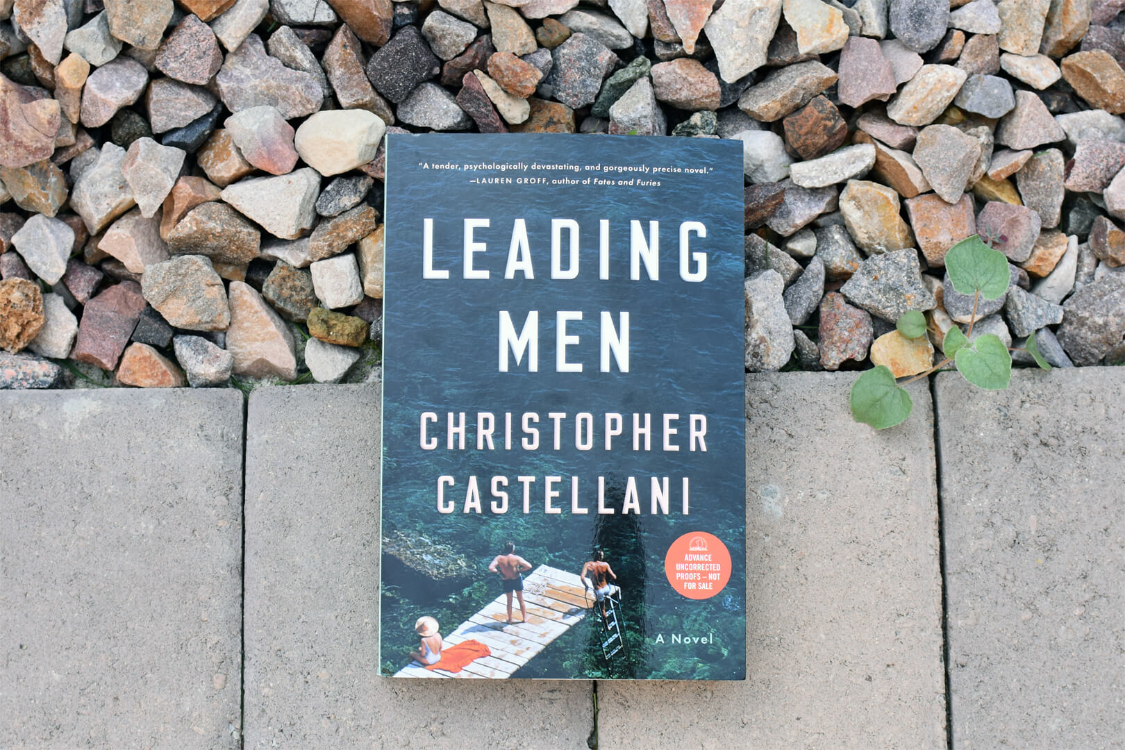 Review: Leading Men by Christopher Castellani