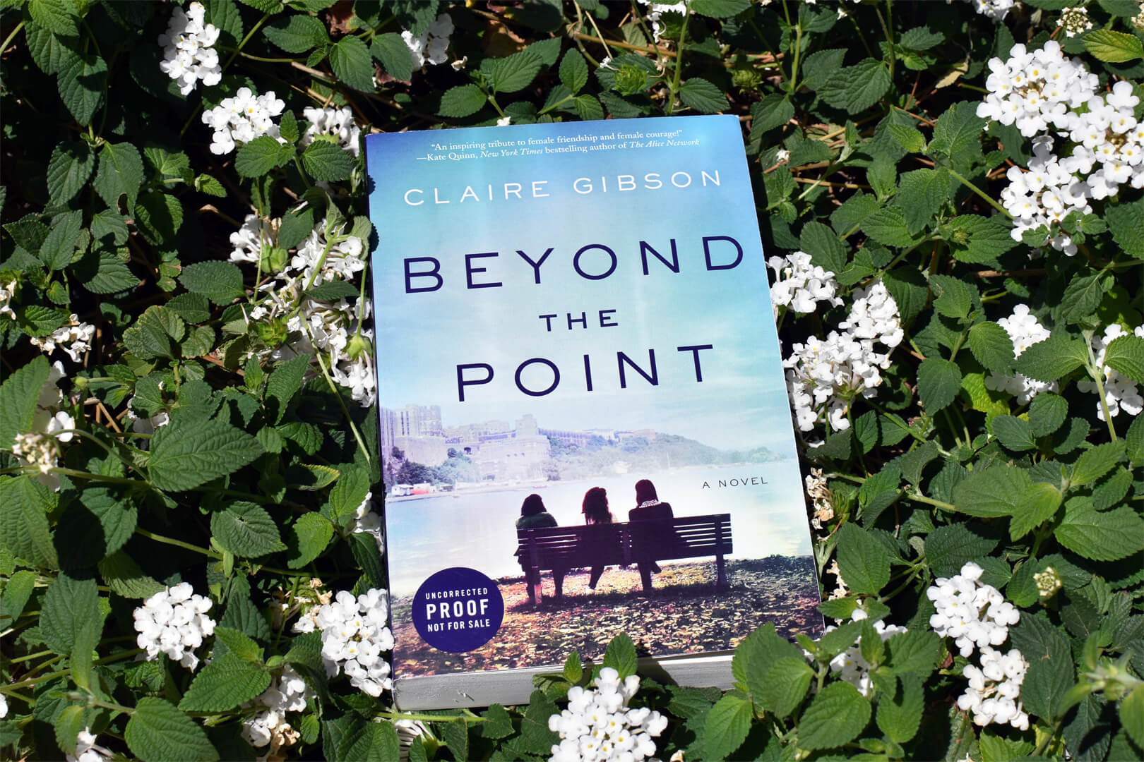 Book Club Questions for Beyond the Point by Claire Gibson