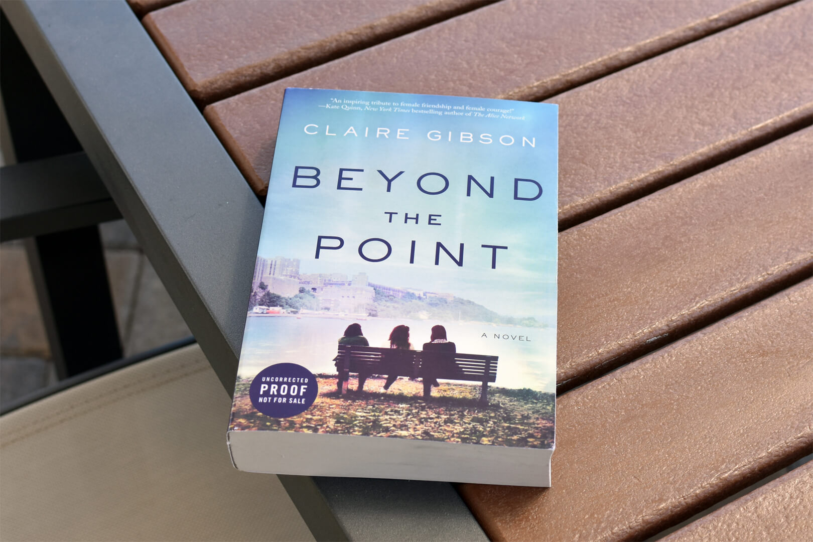 Review: Beyond the Point by Claire Gibson