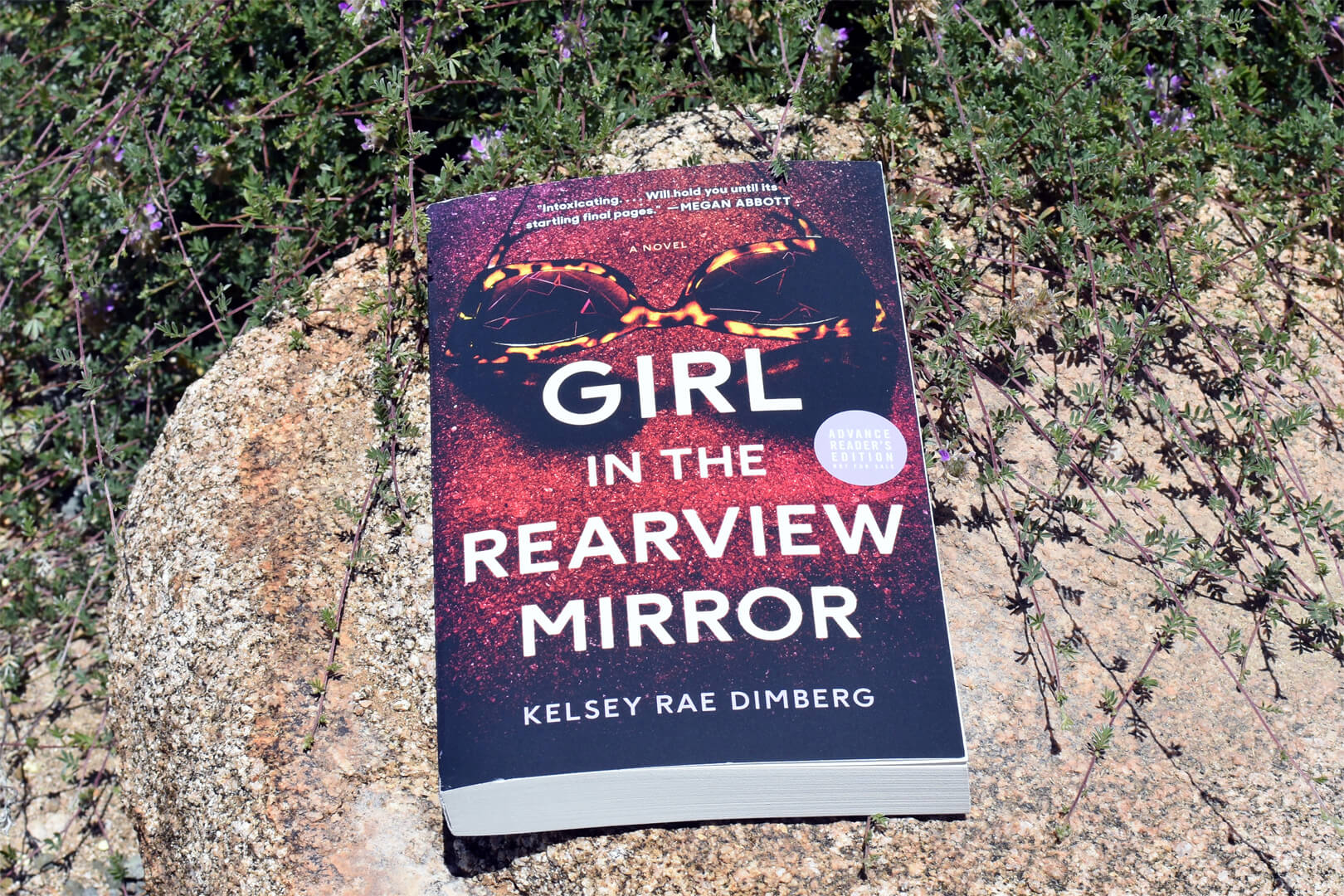 Book Club Questions for Girl in the Rearview Mirror by Kelsey Rae Dimberg