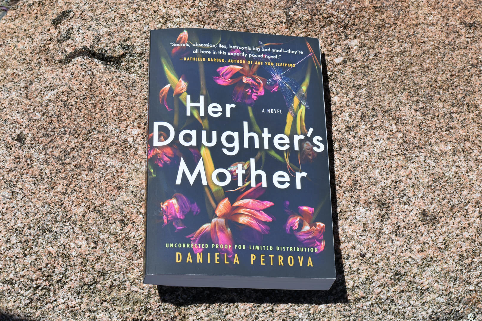 Book Club Questions for Her Daughter’s Mother by Daniela Petrova