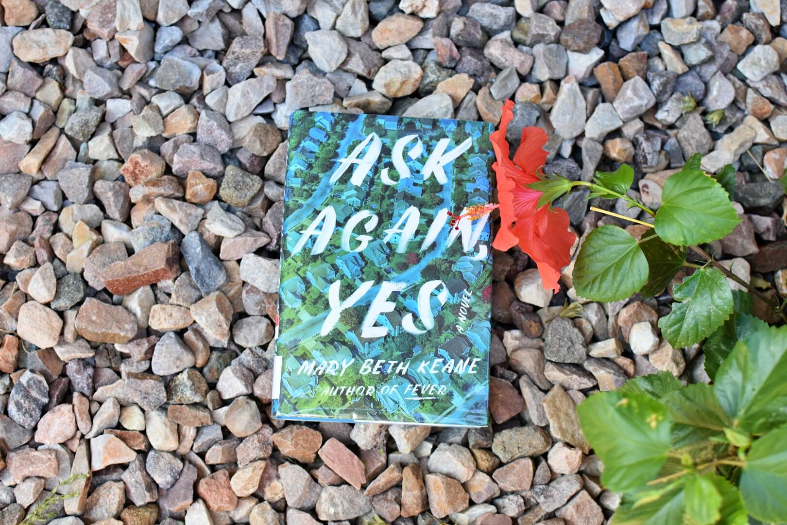 Book Club Questions for Ask Again, Yes by Mary Beth Keane