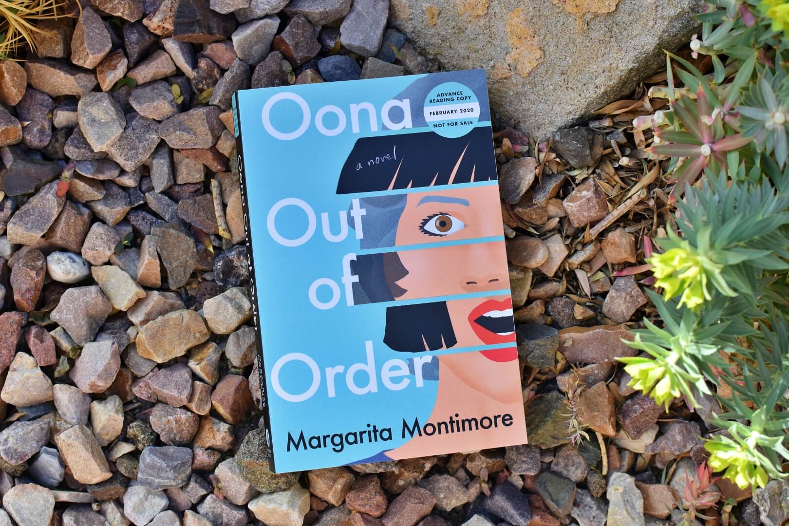 Book Club Questions for Oona Out of Order by Margarita Montimore