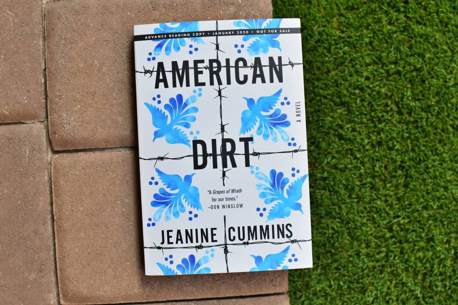 Book Club Questions For American Dirt By Jeanine Cummins - Book Club Chat