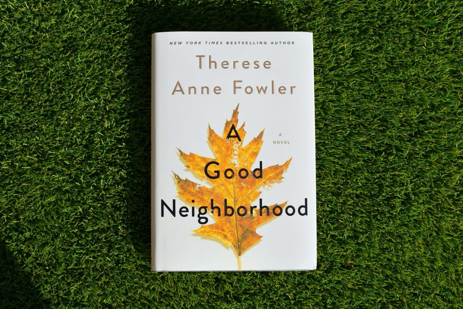 Book Club Questions for A Good Neighborhood by Therese