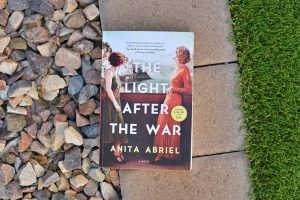 the light after the war book club questions - book club chat