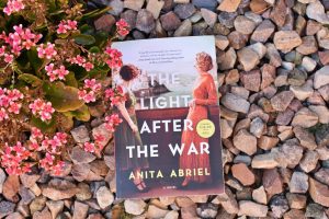 the light after war review - book club chat