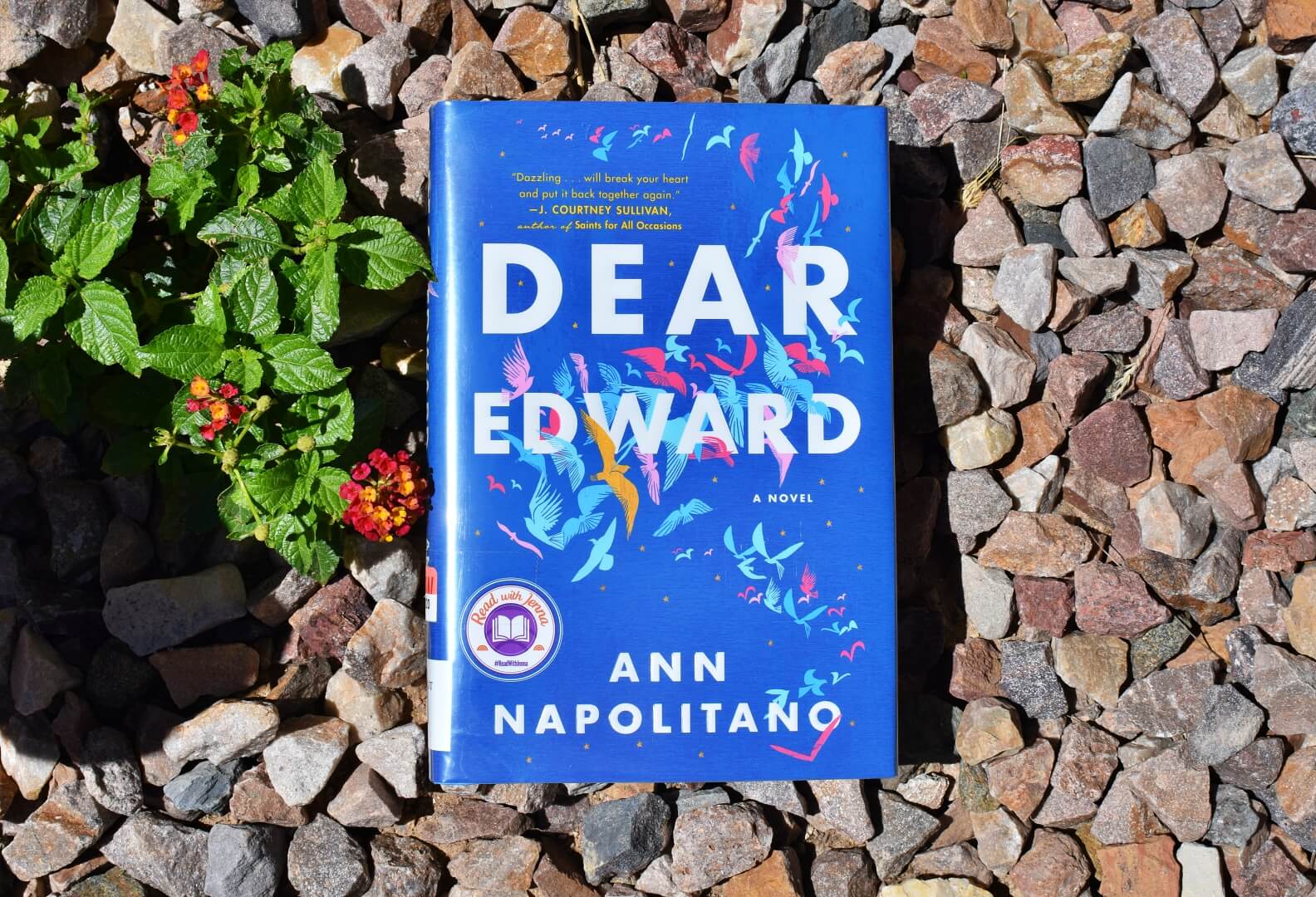 Book Club Questions for Dear Edward by Ann Napolitano