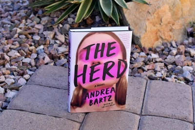 book club questions for the herd - book club chat