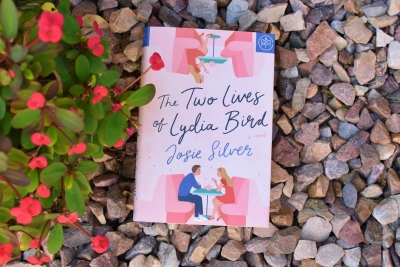 book club questions the two lives of lydia bird - book club chat