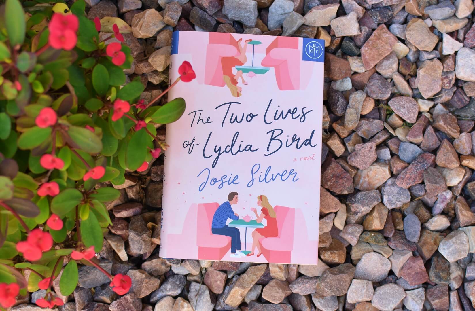 Book Club Questions for The Two Lives of Lydia Bird by Josie Silver