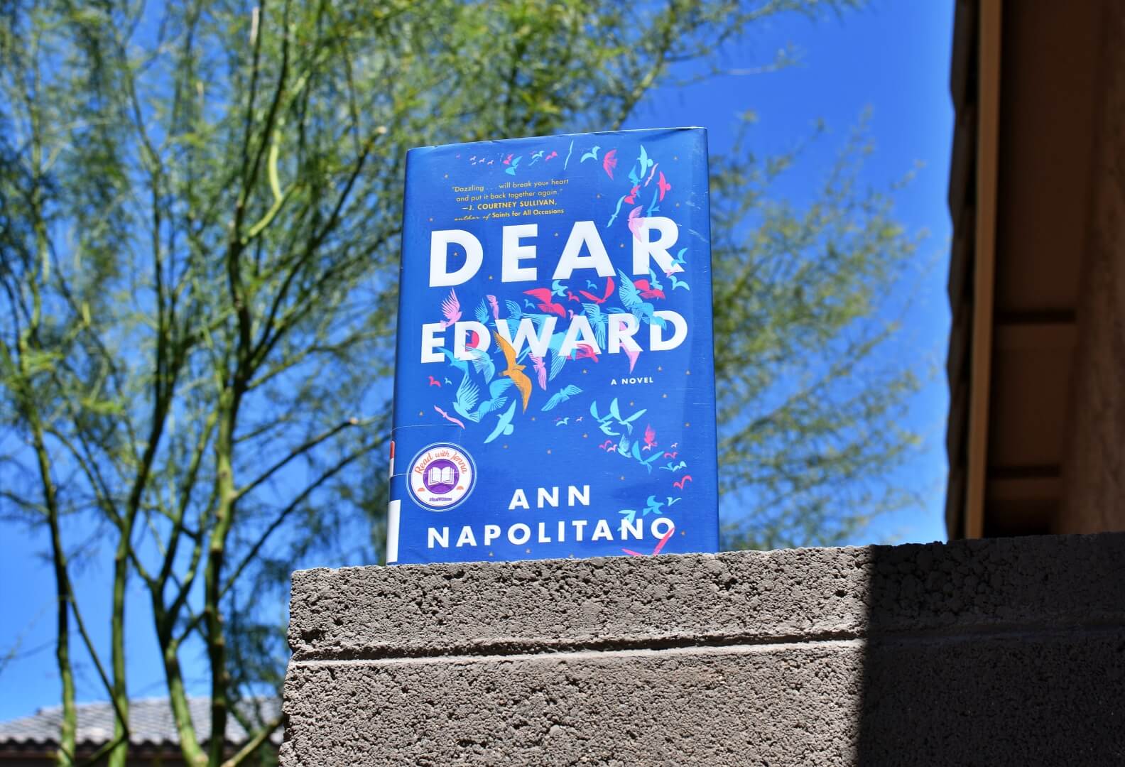 Review: Dear Edward by Ann Napolitano