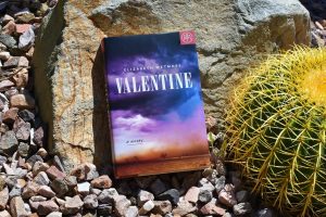 review valentine - book club chat