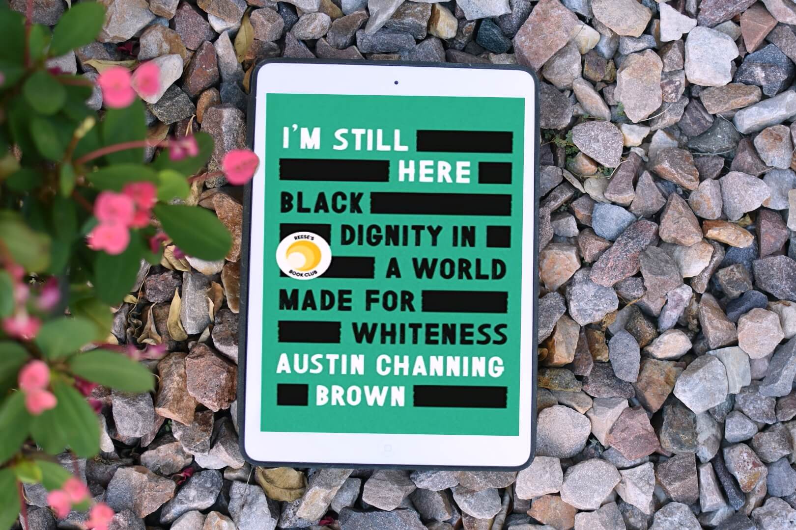 Book Club Questions for I’m Still Here: Black Dignity in a World Made for Whiteness by Austin Channing Brown