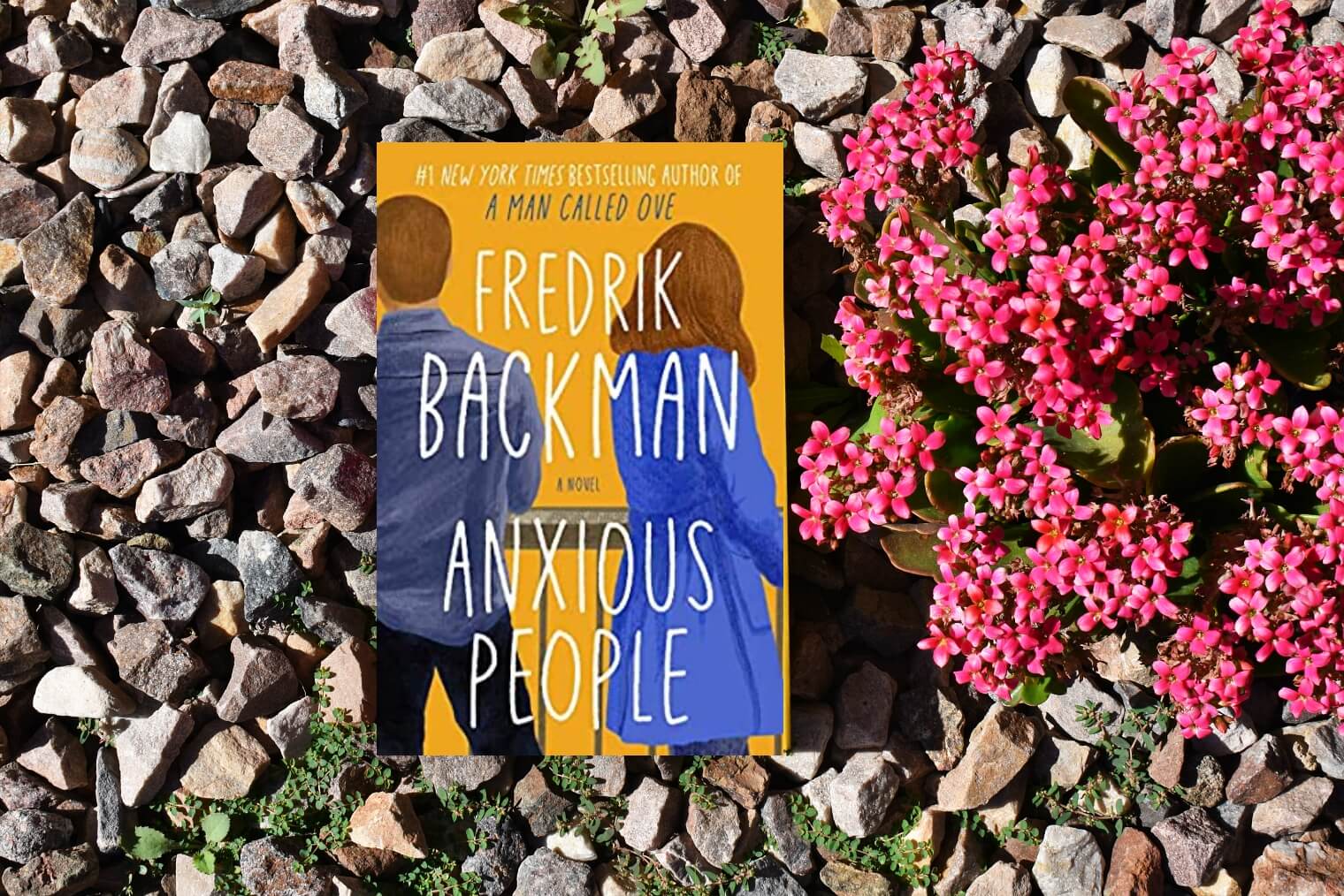 Book Club Questions for Anxious People by Fredrik Backman