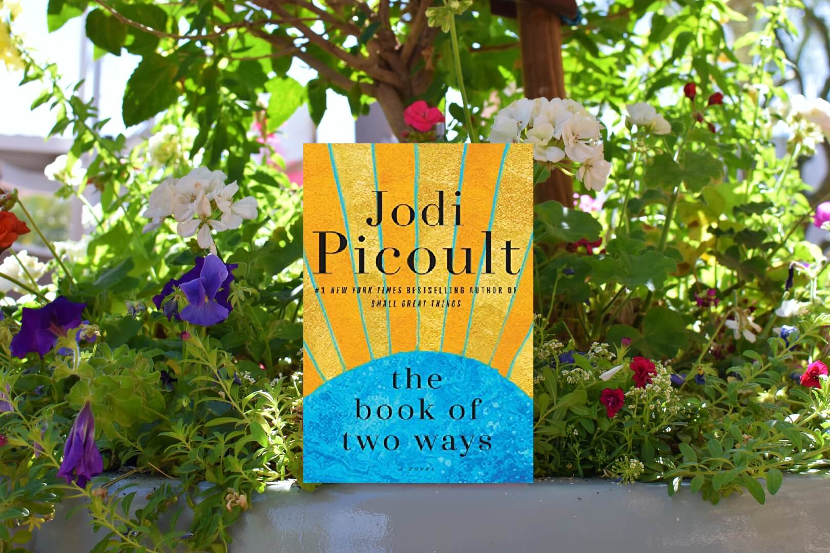Book Club Questions for The Book of Two Ways by Jodi Picoult