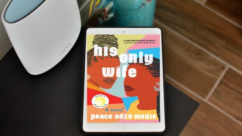 his only wife review - book club chat