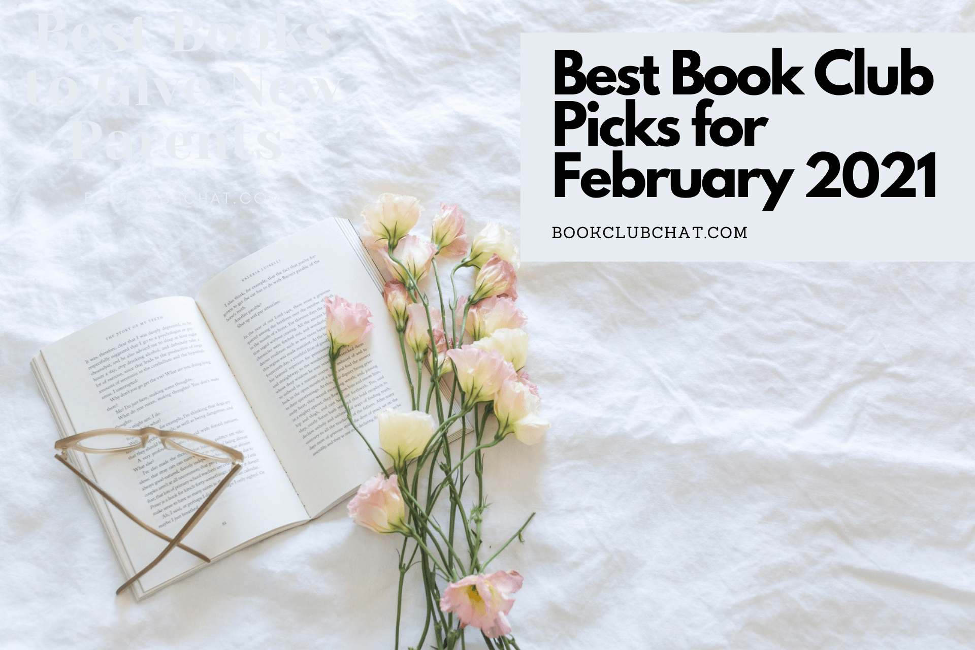 Best Book Club Picks for February 2021