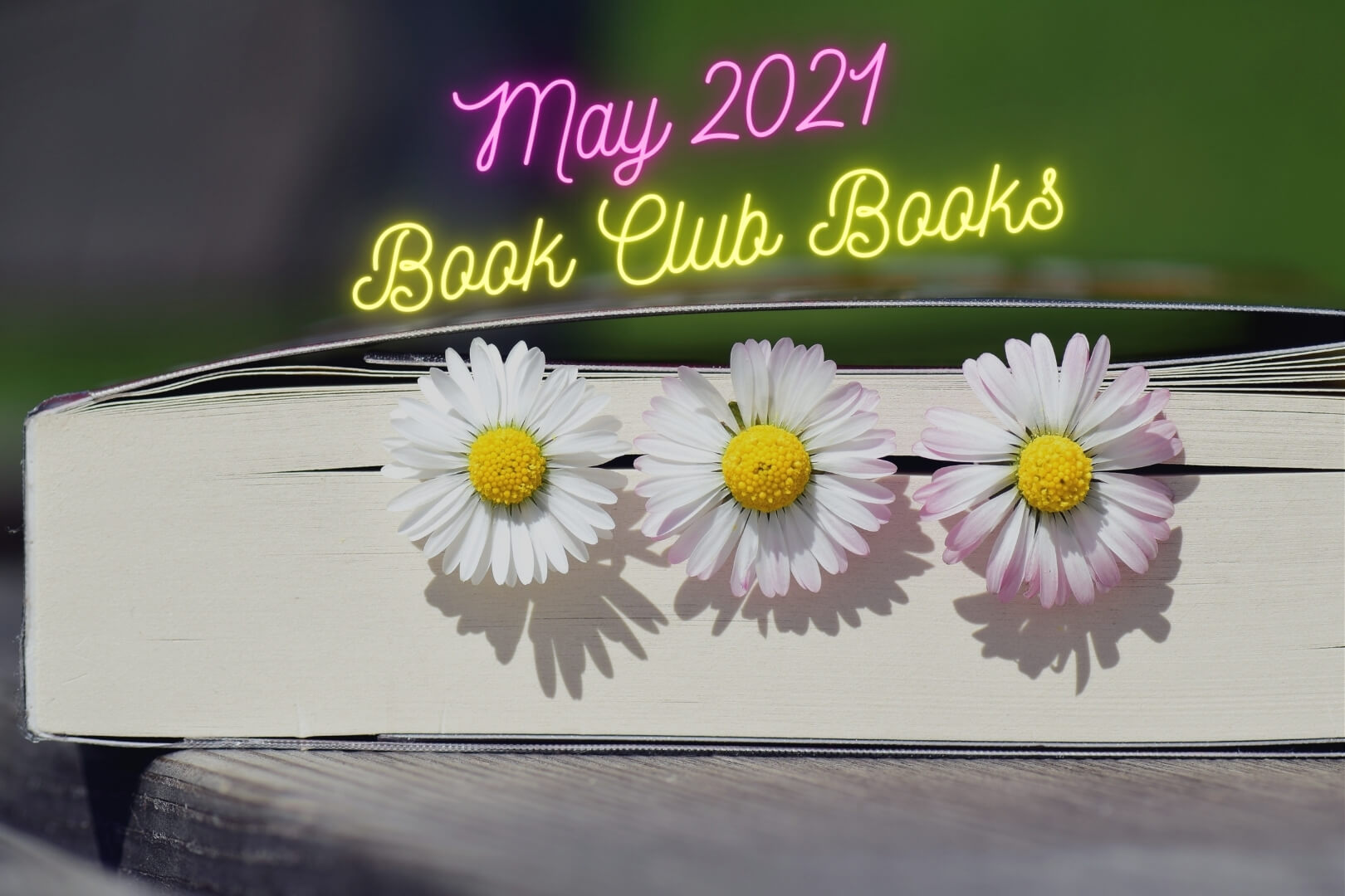 Book Club Picks for May 2021