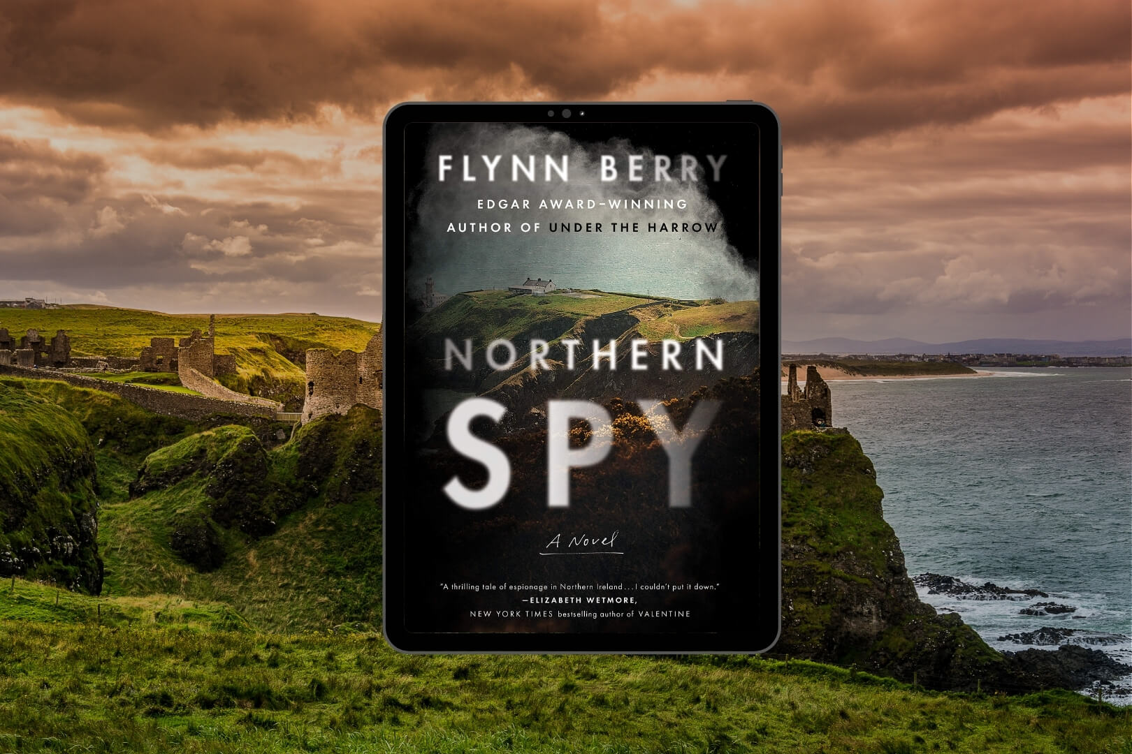 Book Club Questions for Northern Spy by Flynn Berry
