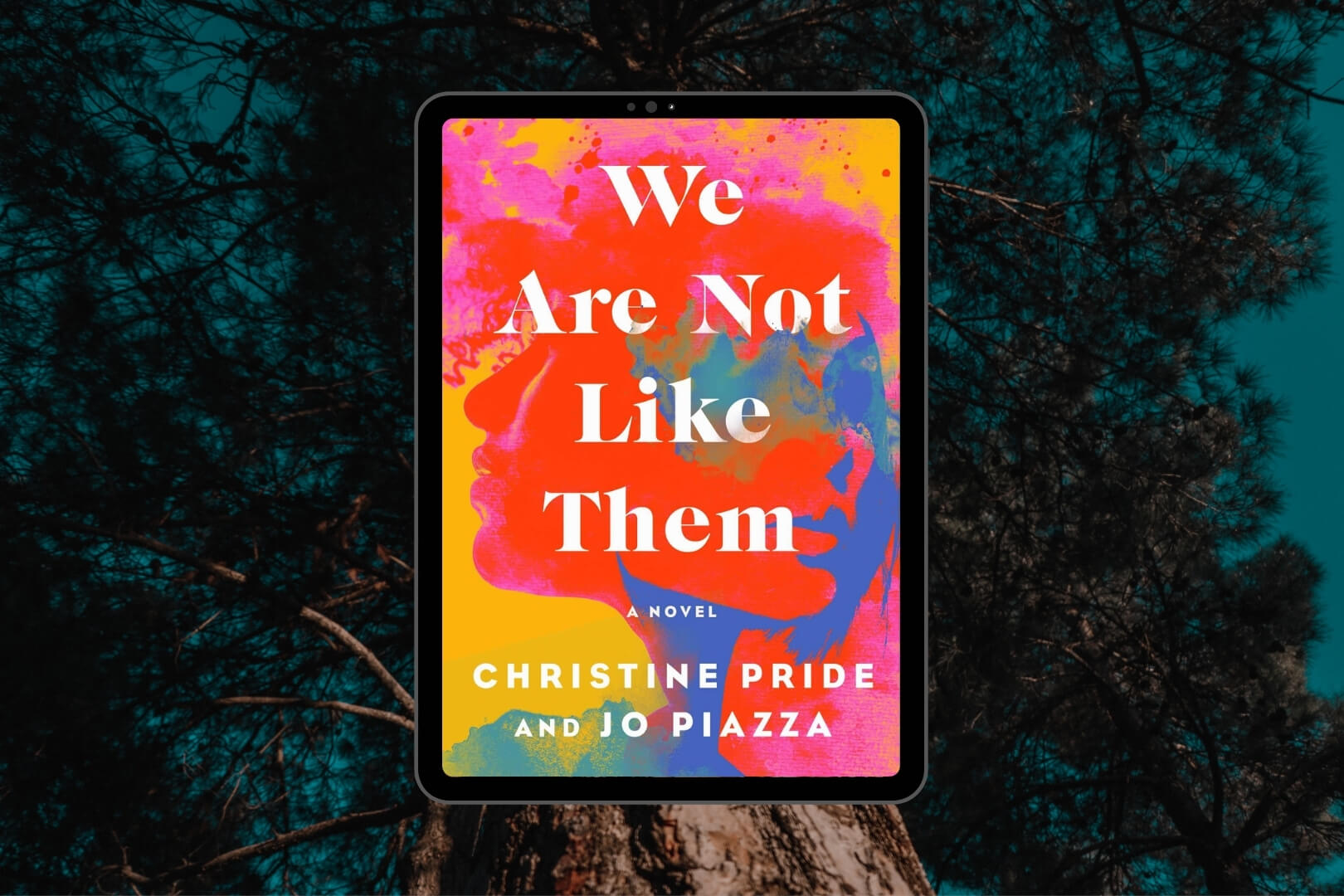 Review: We Are Not Like Them by Christine Pride and Jo Piazza