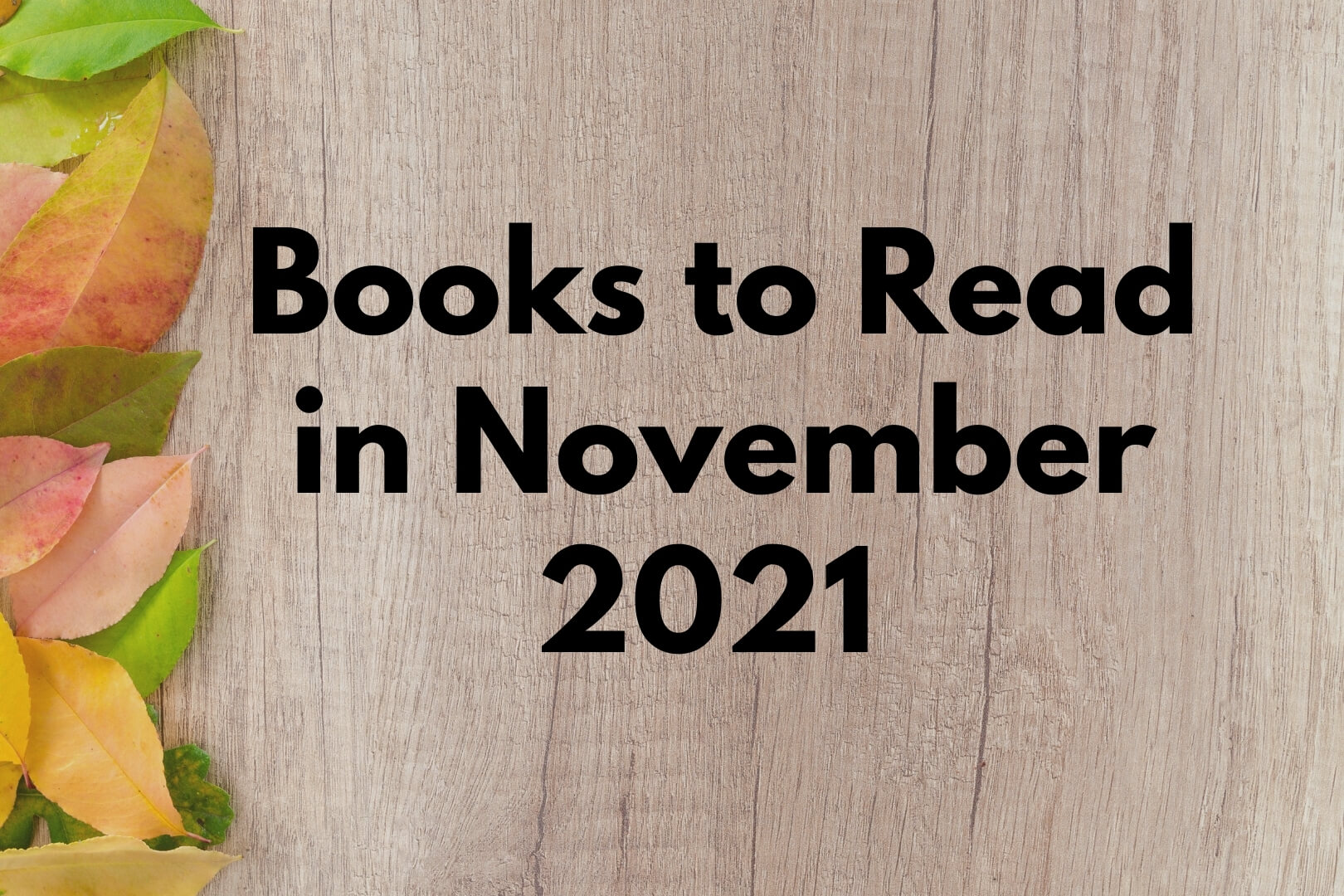 Book Club Picks for November 2021
