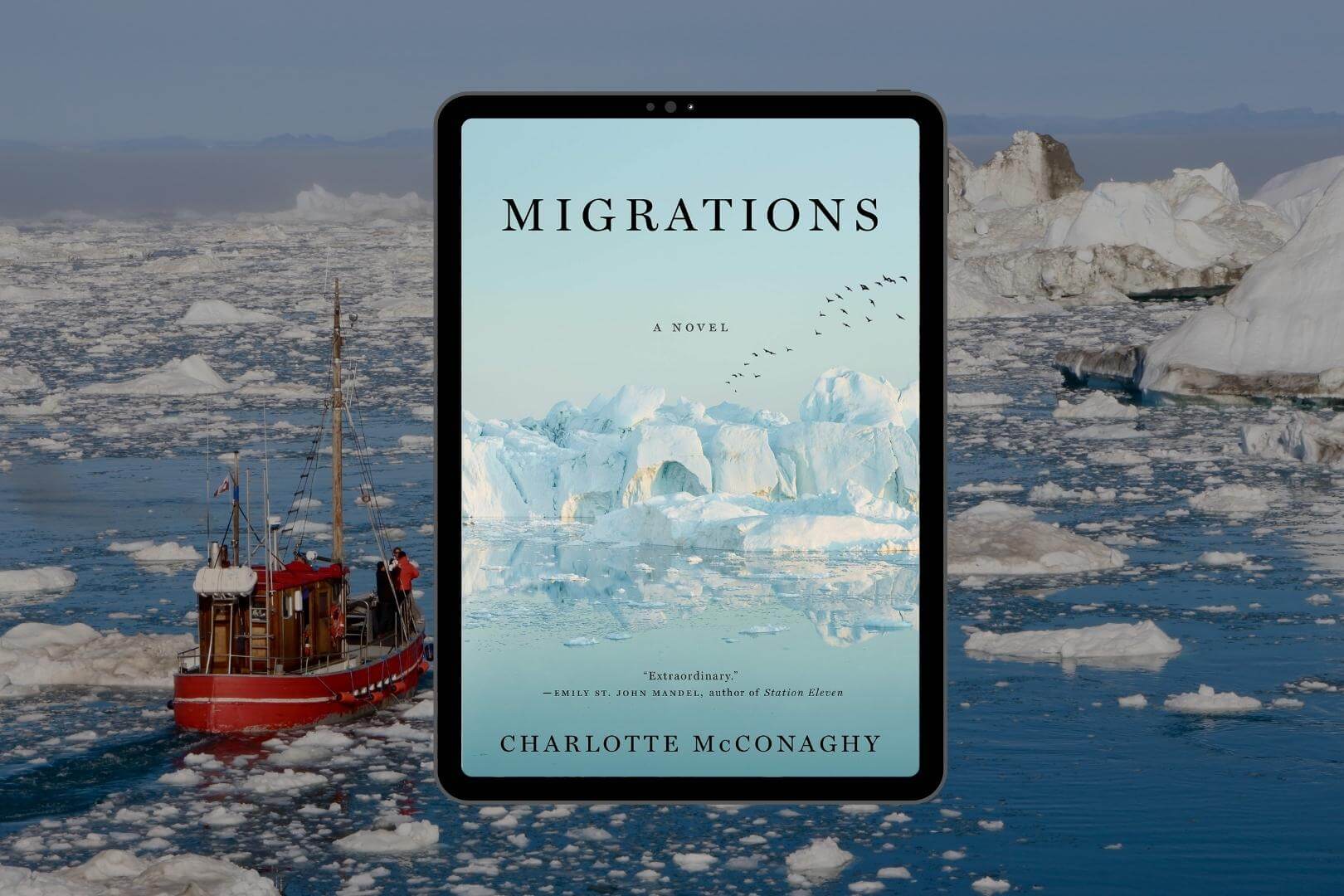 Book Club Questions for Migrations by Charlotte McConaghy