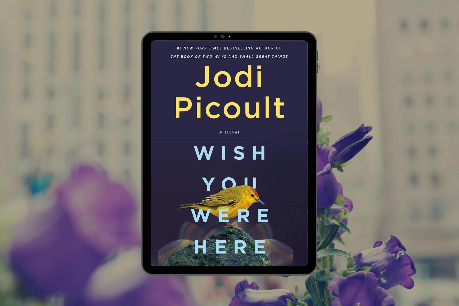 Book Club Questions for Wish You Were Here by Jodi Picoult