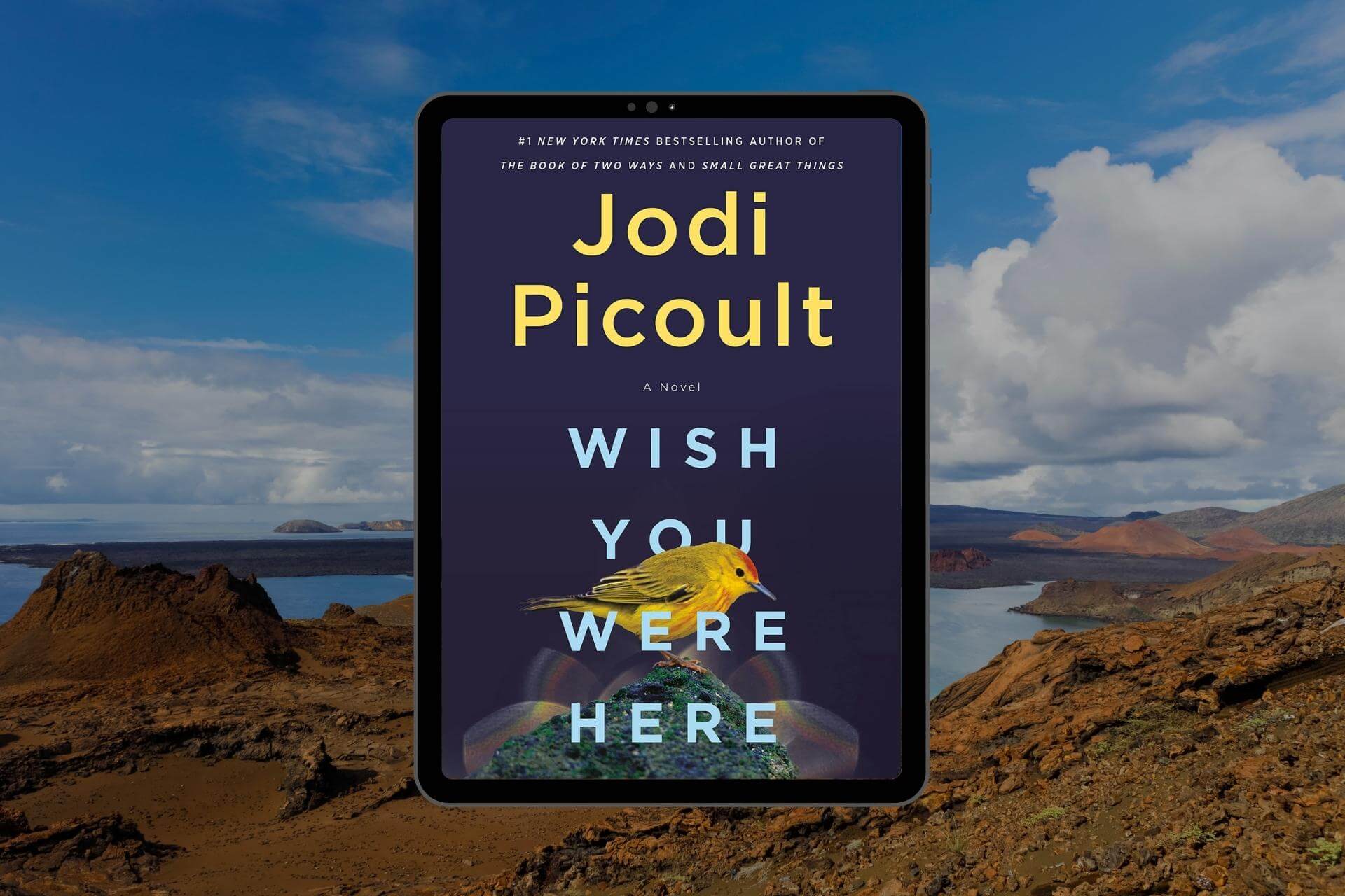 Review: Wish You Were Here by Jodi Picoult