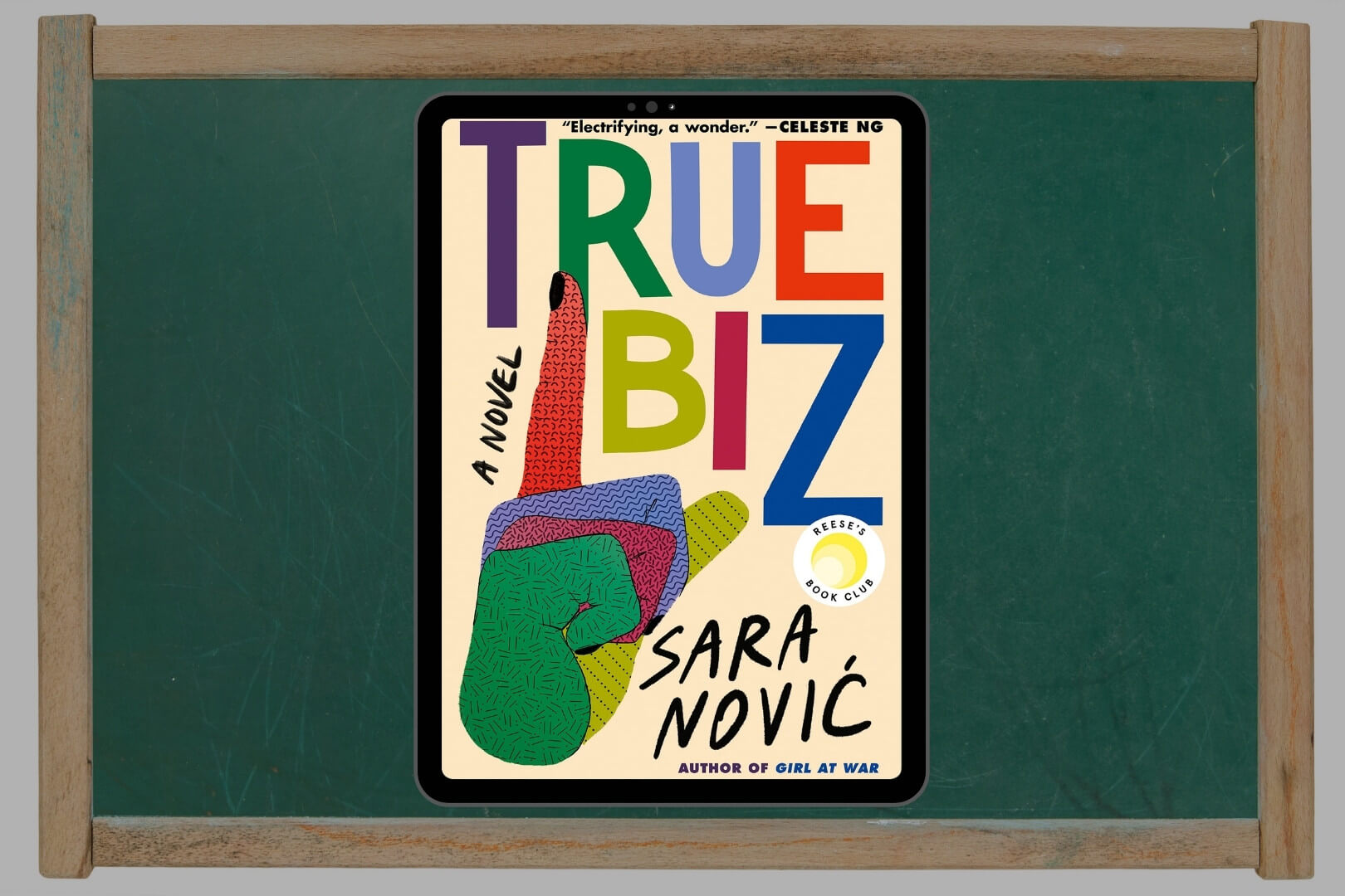 Review: True Biz by Sara Novic