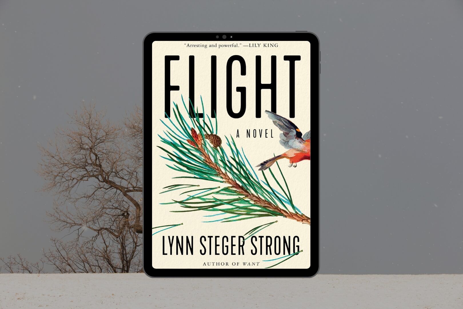 Book Club Questions for Flight by Lynn Steger Strong