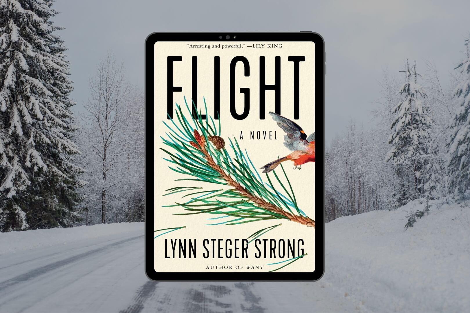 Review: Flight by Lynn Steger Strong