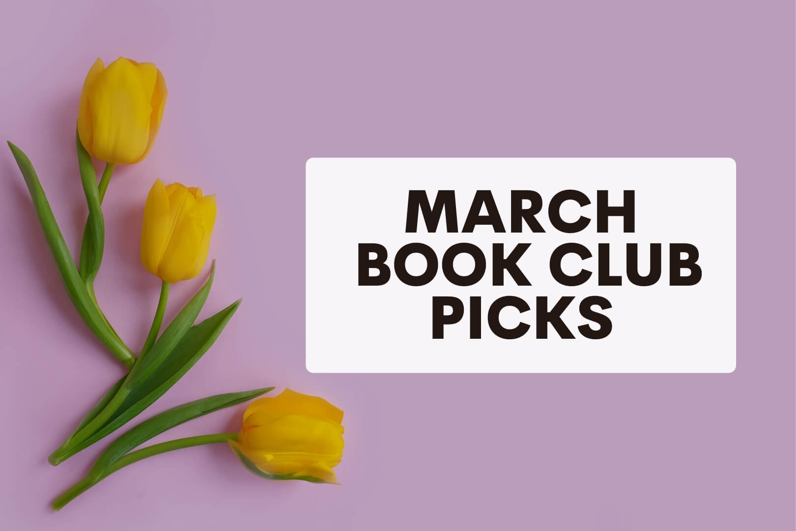 Featured Image for March 2024 book club picks article