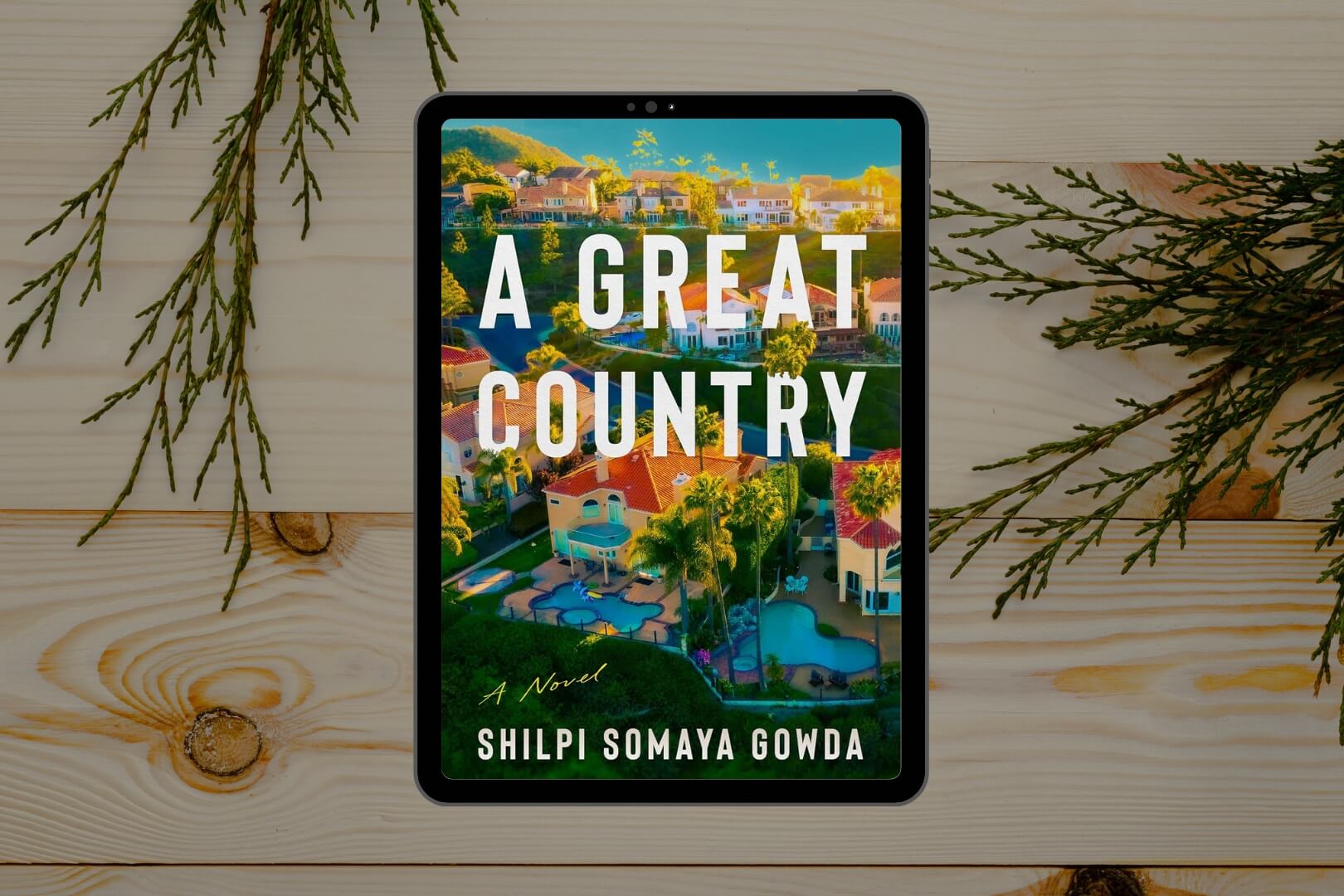 Book Club Questions for A Great Country by Shilpi Somaya Gowda