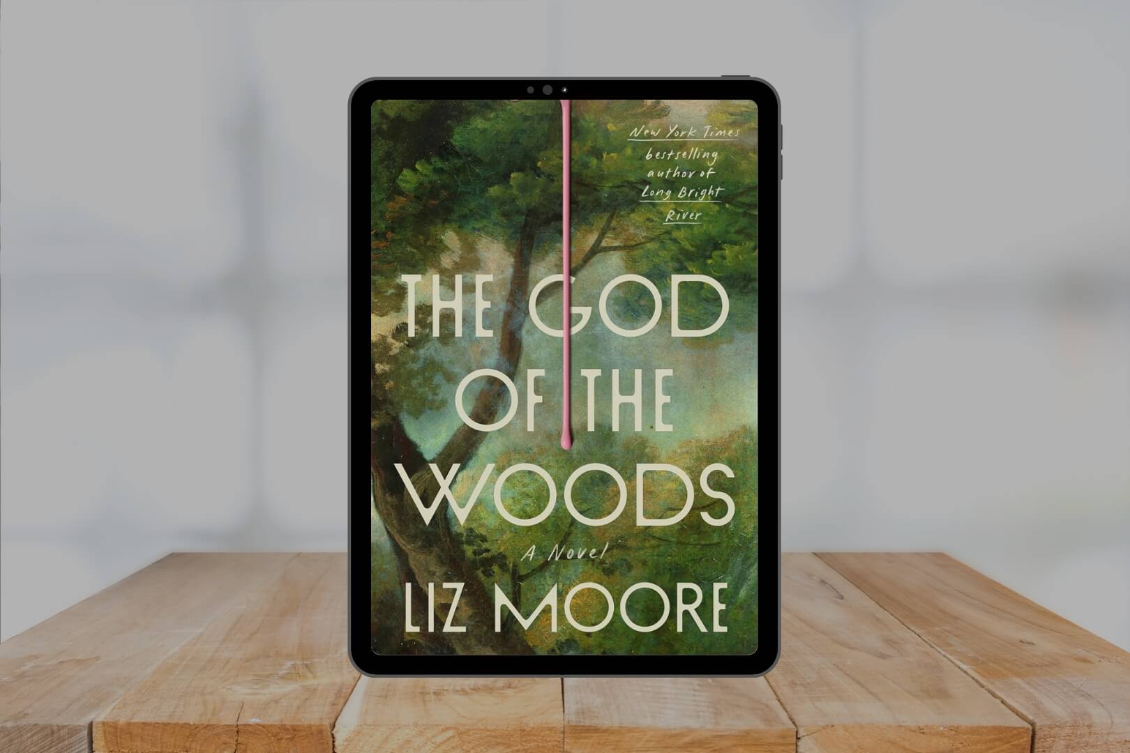 Book Club Questions for The God of the Woods by Liz Moore